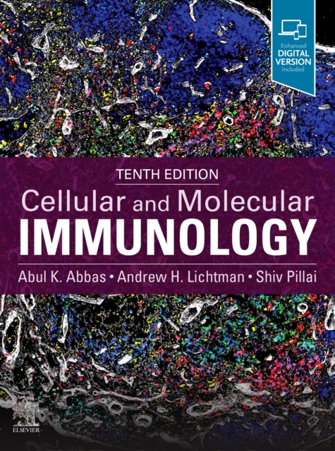 Cellular and Molecular Immunology, Paperback / softback Book