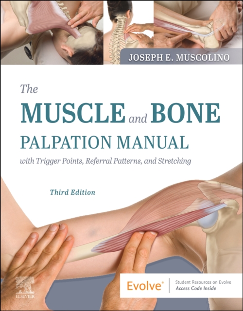 The Muscle and Bone Palpation Manual with Trigger Points, Referral Patterns and Stretching, Paperback / softback Book