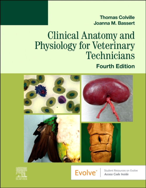 Clinical Anatomy and Physiology for Veterinary Technicians, Paperback / softback Book
