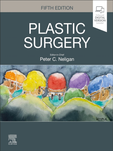 Plastic Surger: 6 Volume Set - E-Book, EPUB eBook