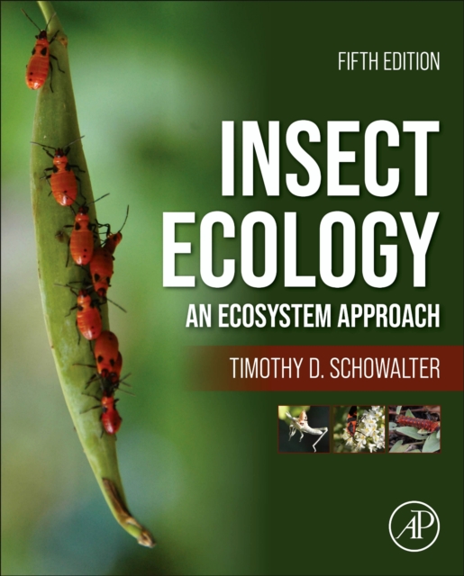 Insect Ecology : An Ecosystem Approach, Hardback Book