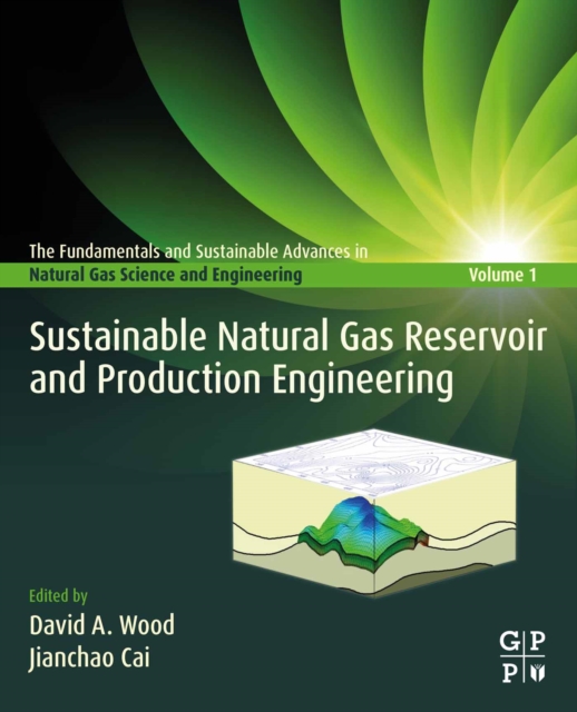 Sustainable Natural Gas Reservoir and Production Engineering, EPUB eBook