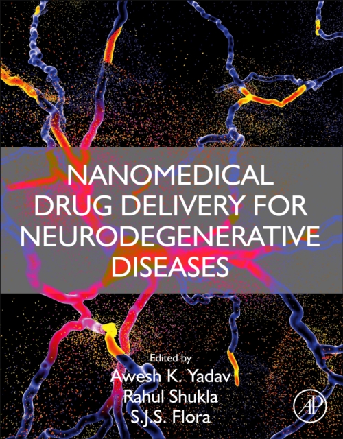 Nanomedical Drug Delivery for Neurodegenerative Diseases, EPUB eBook