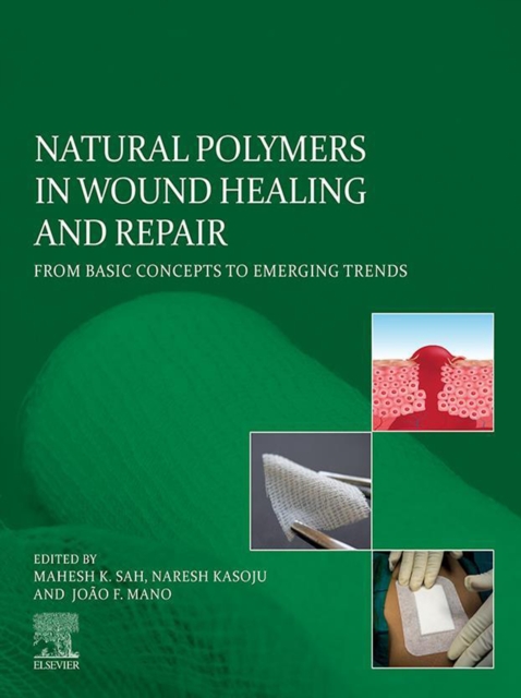 Natural Polymers in Wound Healing and Repair : From Basic Concepts to Emerging Trends, EPUB eBook