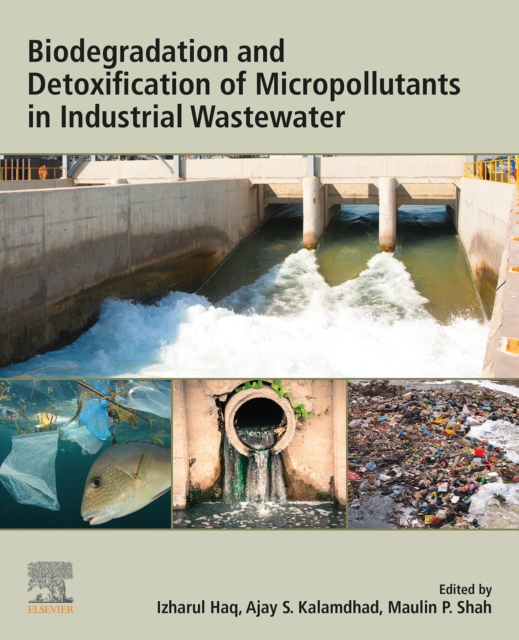 Biodegradation and Detoxification of Micropollutants in Industrial Wastewater, EPUB eBook