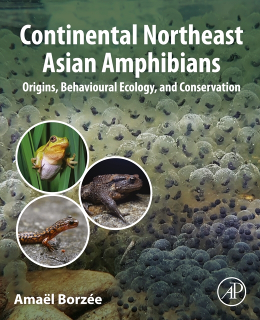Continental Northeast Asian Amphibians : Origins, Behavioural Ecology, and Conservation, EPUB eBook