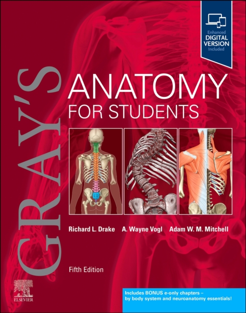 Gray's Anatomy for Students, Paperback / softback Book