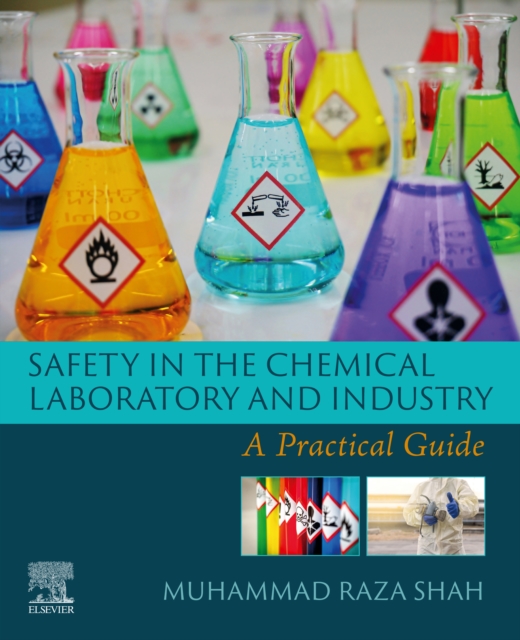 Safety in the Chemical Laboratory and Industry : A Practical Guide, EPUB eBook