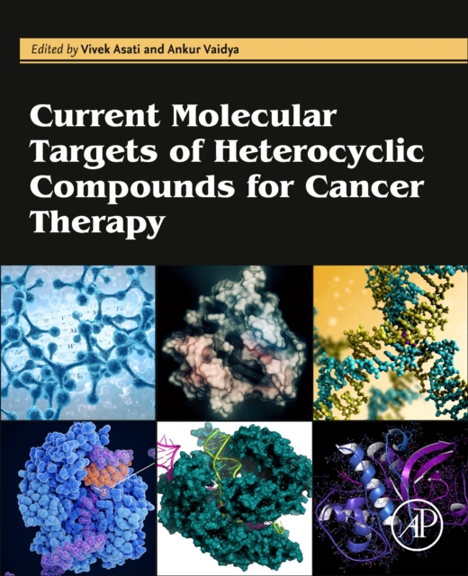Current Molecular Targets of Heterocyclic Compounds for Cancer Therapy, Paperback / softback Book