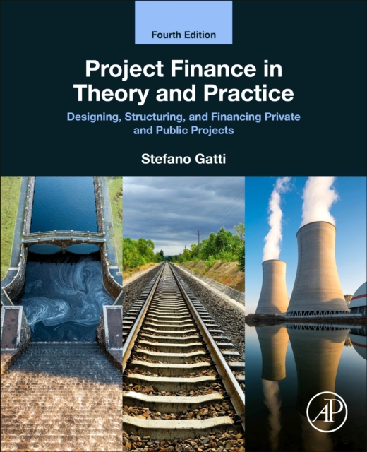 Project Finance in Theory and Practice : Designing, Structuring, and Financing Private and Public Projects, Paperback / softback Book