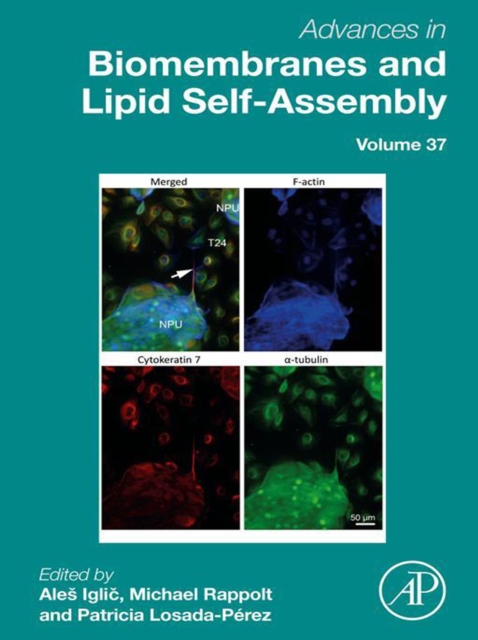 Advances in Biomembranes and Lipid Self-Assembly, EPUB eBook