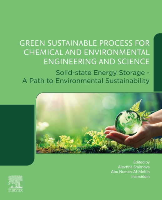 Green Sustainable Process for Chemical and Environmental Engineering and Science : Solid-State Energy Storage - A Path to Environmental Sustainability, EPUB eBook