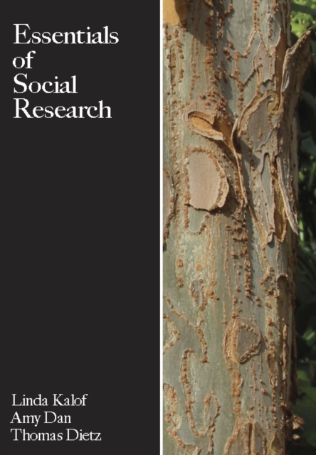 Essentials of Social Research, PDF eBook