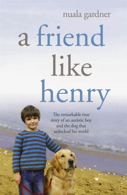 A Friend Like Henry, Paperback / softback Book