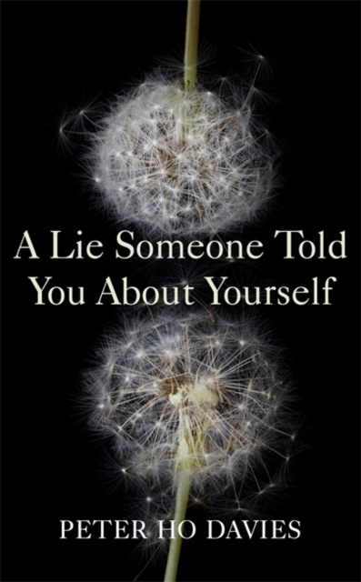 A Lie Someone Told You About Yourself, Hardback Book