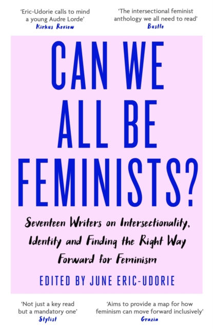 Can We All Be Feminists? : Seventeen writers on intersectionality, identity and finding the right way forward for feminism, EPUB eBook