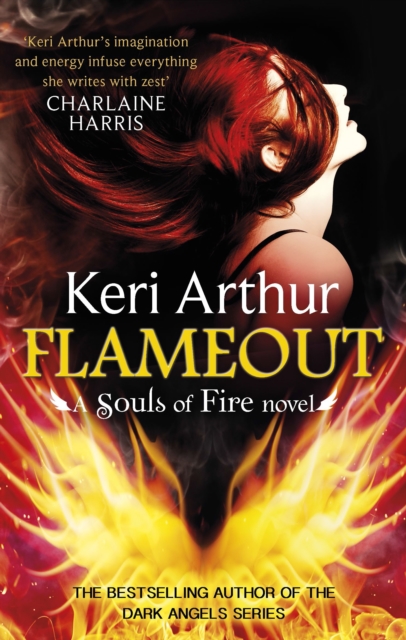 Flameout, EPUB eBook