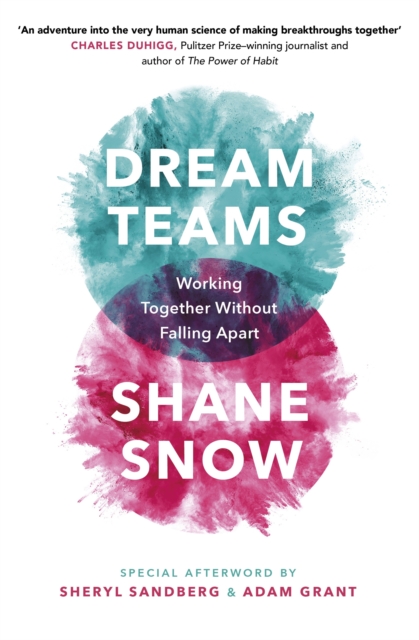 Dream Teams : Working Together Without Falling Apart, EPUB eBook