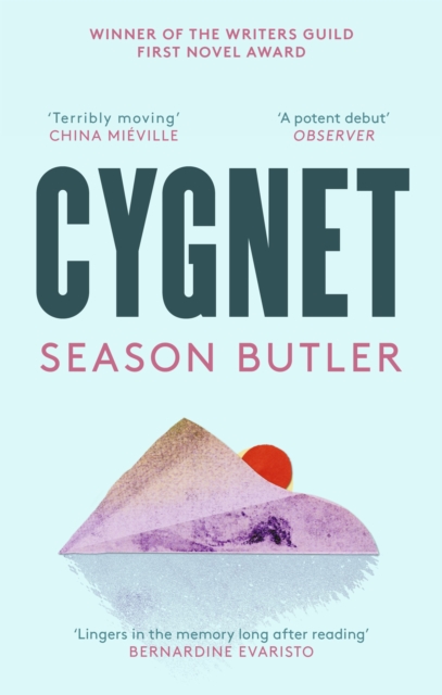 Cygnet, Paperback / softback Book
