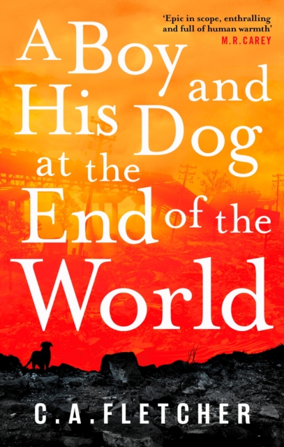 A Boy and his Dog at the End of the World, EPUB eBook