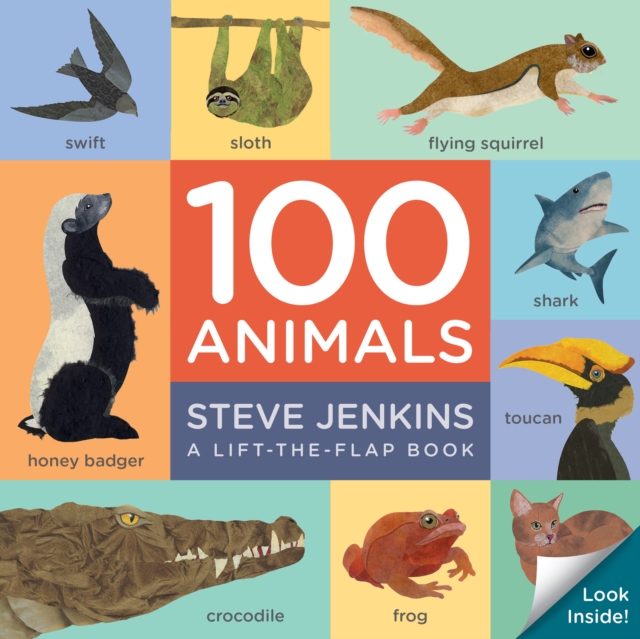 100 Animals Board Book: Lift-the-Flap, Board book Book