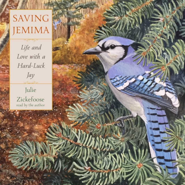 Saving Jemima : Life and Love with a Hard-Luck Jay, eAudiobook MP3 eaudioBook