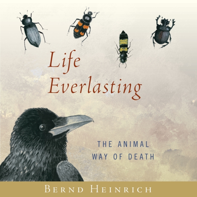 Life Everlasting, eAudiobook MP3 eaudioBook