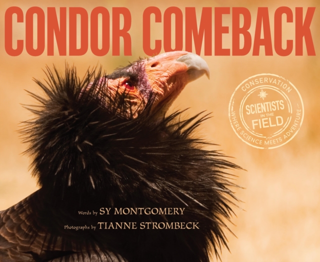Condor Comeback, EPUB eBook
