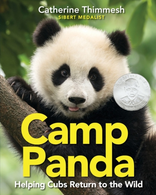 Camp Panda : Helping Cubs Return to the Wild, Paperback / softback Book