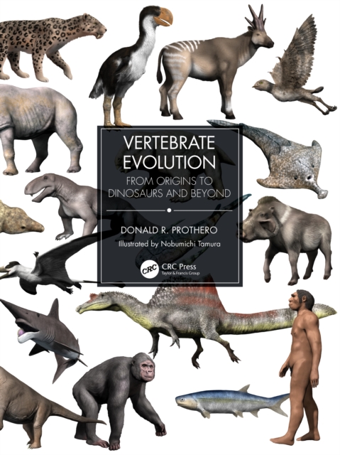 Vertebrate Evolution : From Origins to Dinosaurs and Beyond, Paperback / softback Book
