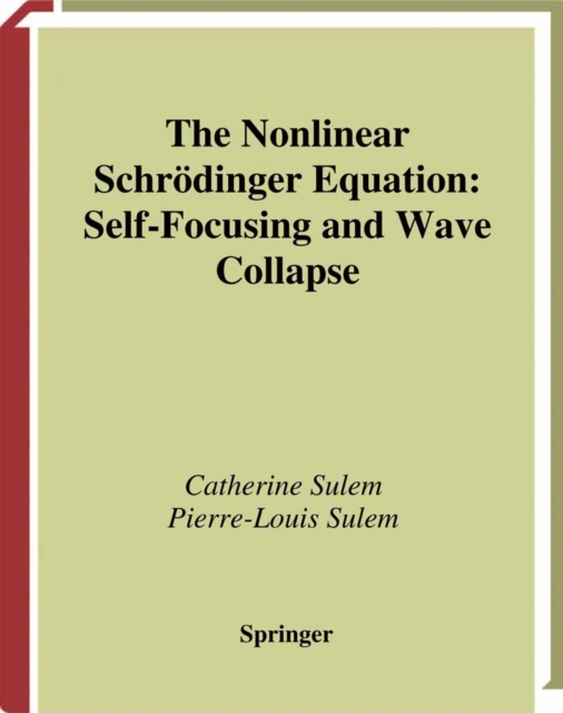The Nonlinear Schrodinger Equation : Self-Focusing and Wave Collapse, PDF eBook