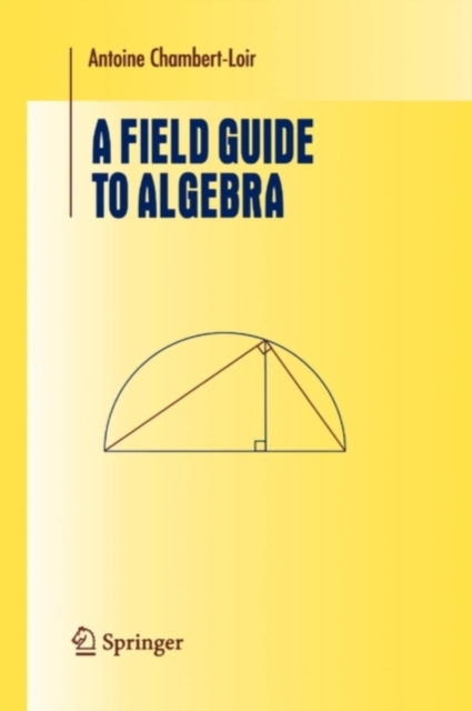 A Field Guide to Algebra, PDF eBook