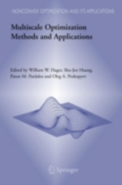 Multiscale Optimization Methods and Applications, PDF eBook
