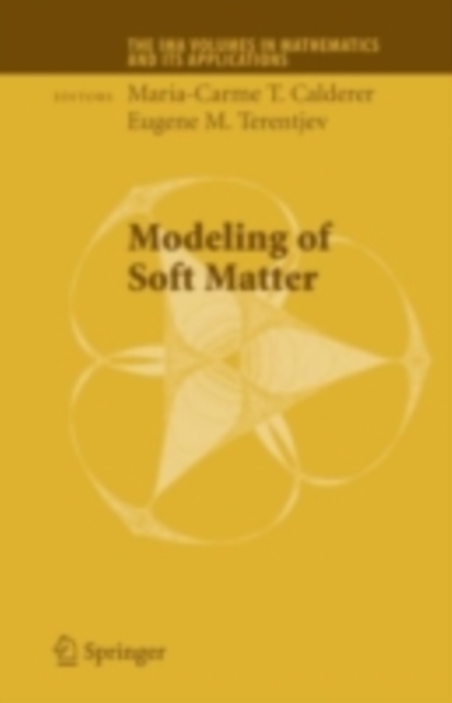 Modeling of Soft Matter, PDF eBook