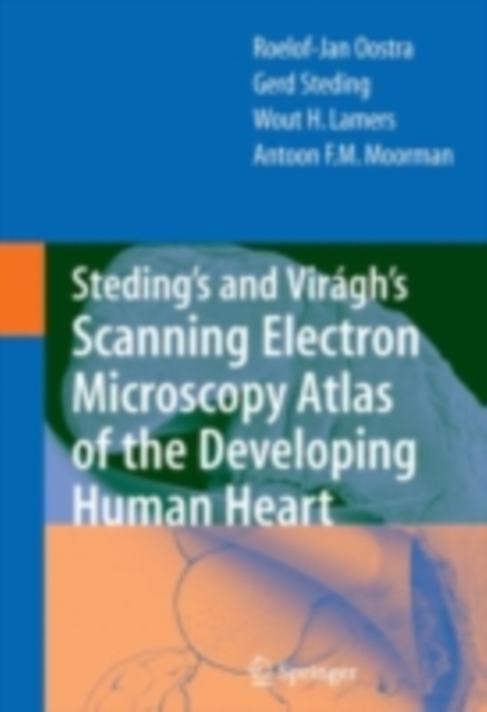 Steding's and Viragh's Scanning Electron Microscopy Atlas of the Developing Human Heart, PDF eBook