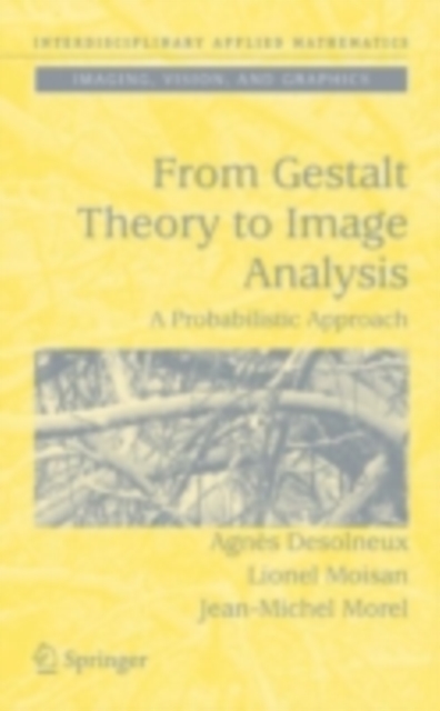 From Gestalt Theory to Image Analysis : A Probabilistic Approach, PDF eBook
