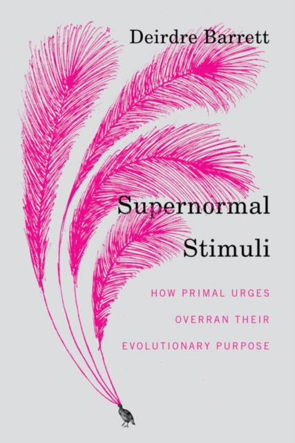 Supernormal Stimuli : How Primal Urges Overran Their Evolutionary Purpose, Hardback Book