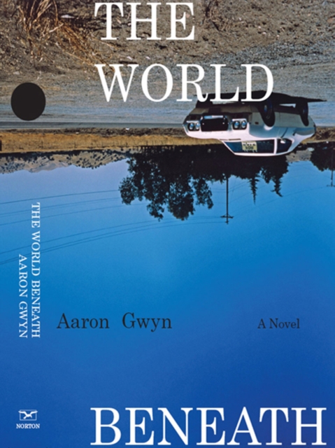 The World Beneath : A Novel, EPUB eBook