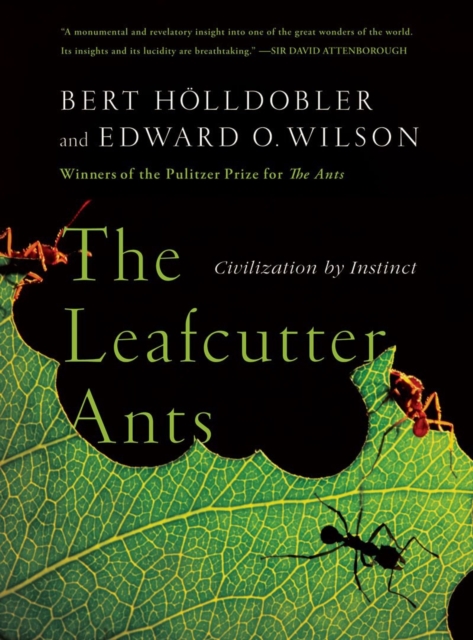 The Leafcutter Ants : Civilization by Instinct, Paperback / softback Book