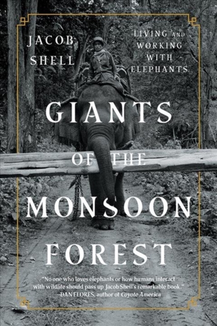 Giants of the Monsoon Forest : Living and Working with Elephants, Paperback / softback Book