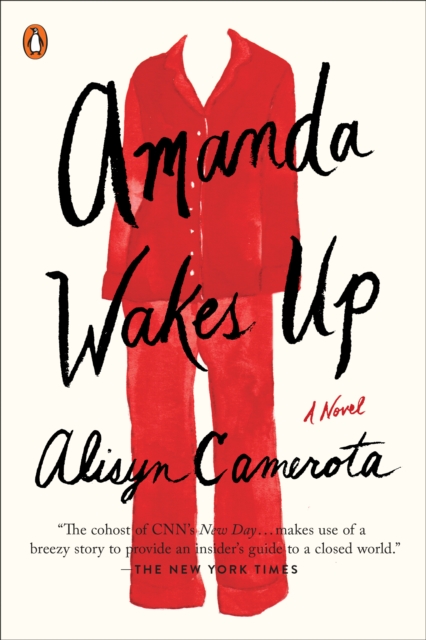 Amanda Wakes Up, EPUB eBook