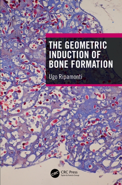 The Geometric Induction of Bone Formation, PDF eBook