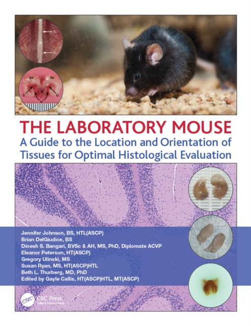 The Laboratory Mouse : A Guide to the Location and Orientation of Tissues for Optimal Histological Evaluation, PDF eBook