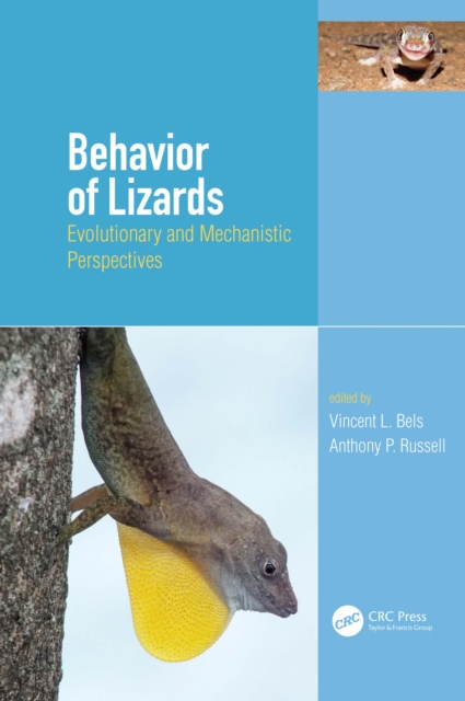 Behavior of Lizards : Evolutionary and Mechanistic Perspectives, EPUB eBook