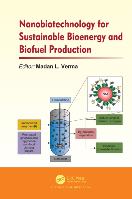 Nanobiotechnology for Sustainable Bioenergy and Biofuel Production, EPUB eBook