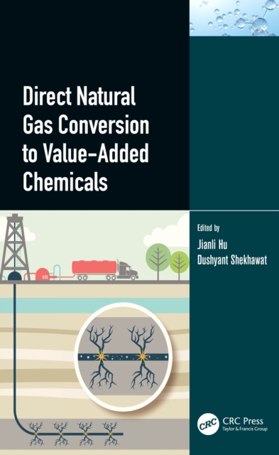Direct Natural Gas Conversion to Value-Added Chemicals, EPUB eBook