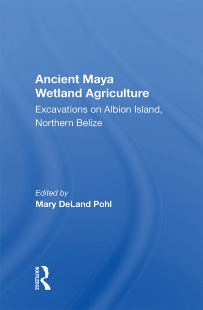 Ancient Maya Wetland Agriculture : Excavations On Albion Island, Northern Belize, PDF eBook
