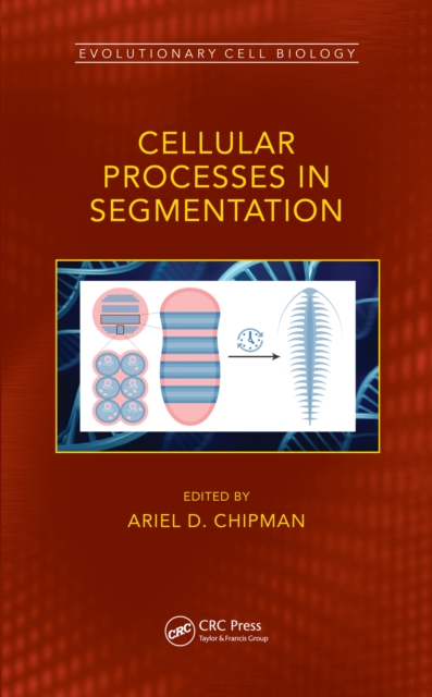 Cellular Processes in Segmentation, PDF eBook