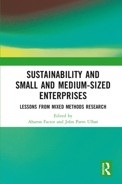 Sustainability and Small and Medium-sized Enterprises : Lessons from Mixed Methods Research, PDF eBook
