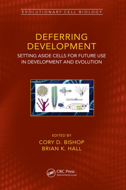 Deferring Development : Setting Aside Cells for Future Use in Development and Evolution, EPUB eBook